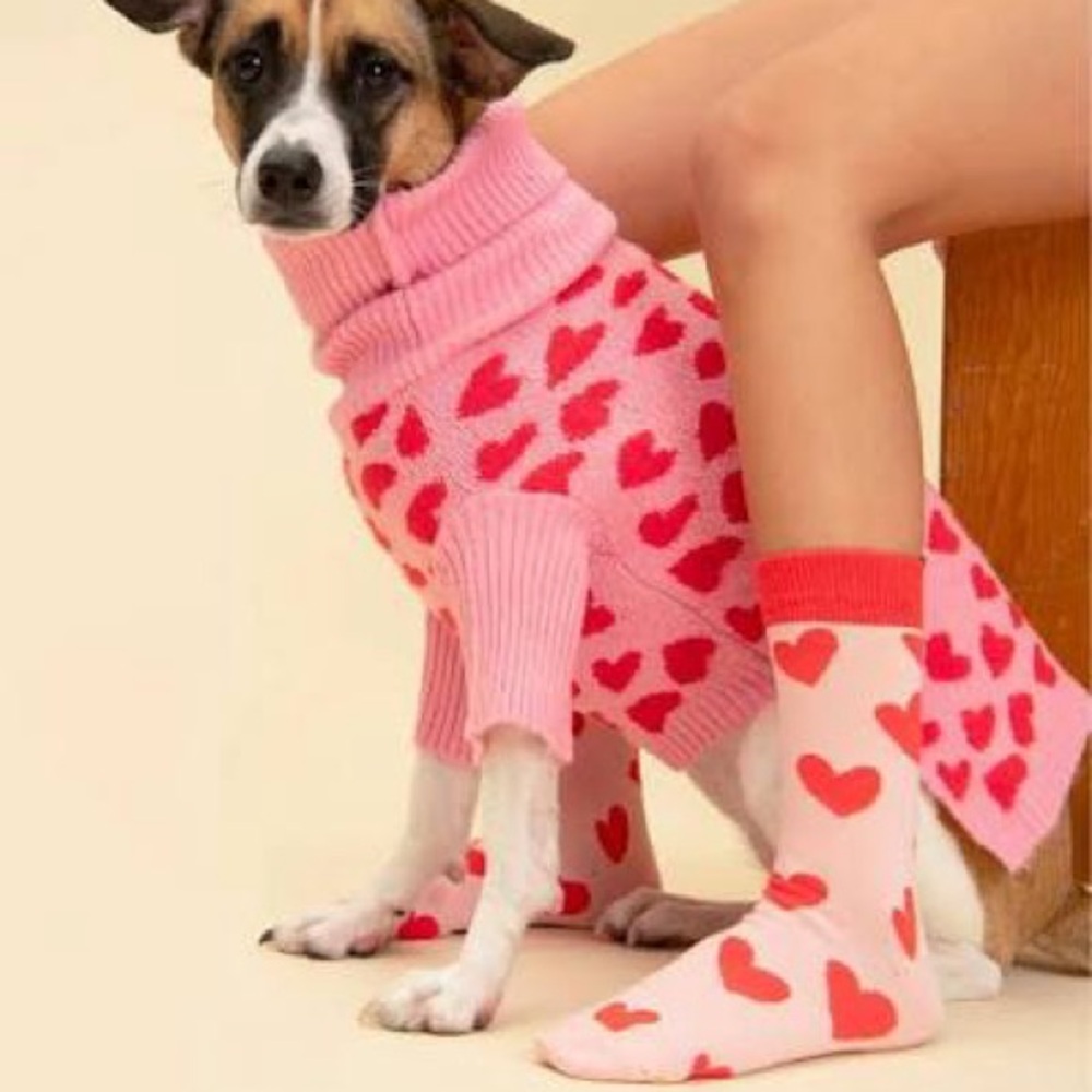 Little Beast heart sweater dog sweater M new
